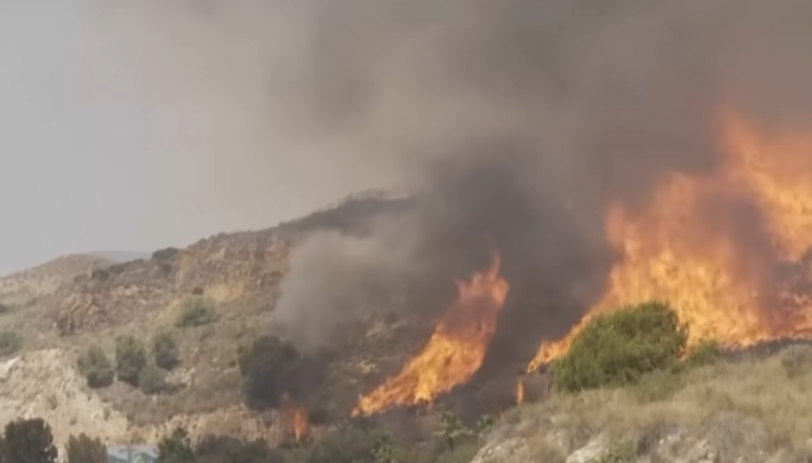 Nach Waldbrand in Andalusien: „Gott ist mit euch und leidet mit euch am Kreuz“